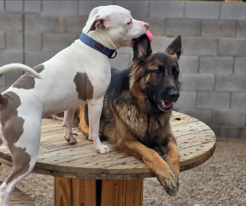 Lydia Rose thumbnail 3