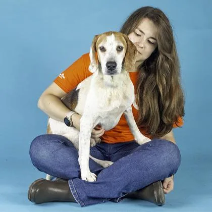 Chester thumbnail 2
