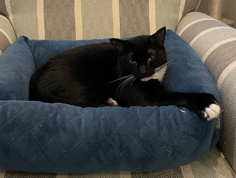 Jeffrey Dean "jd" thumbnail 4