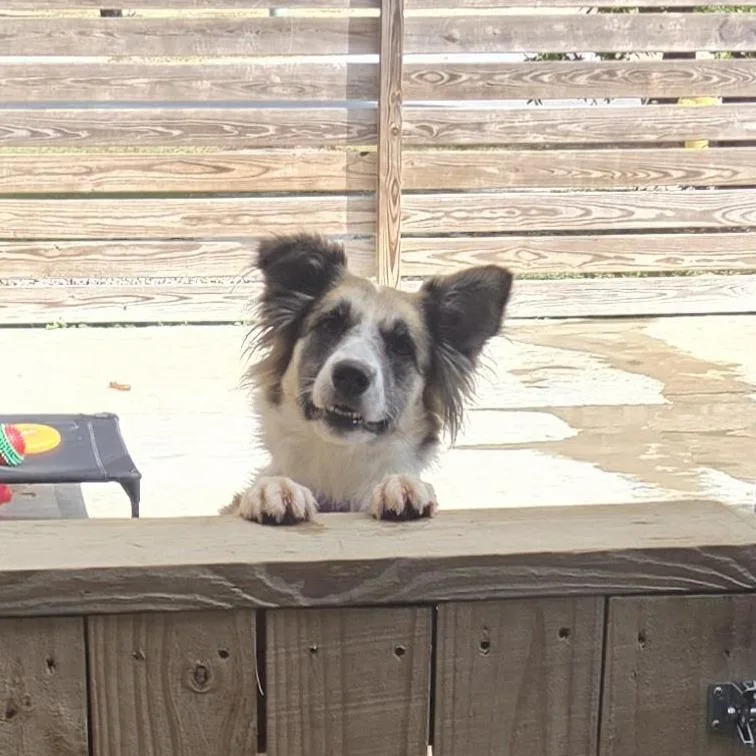 Winky