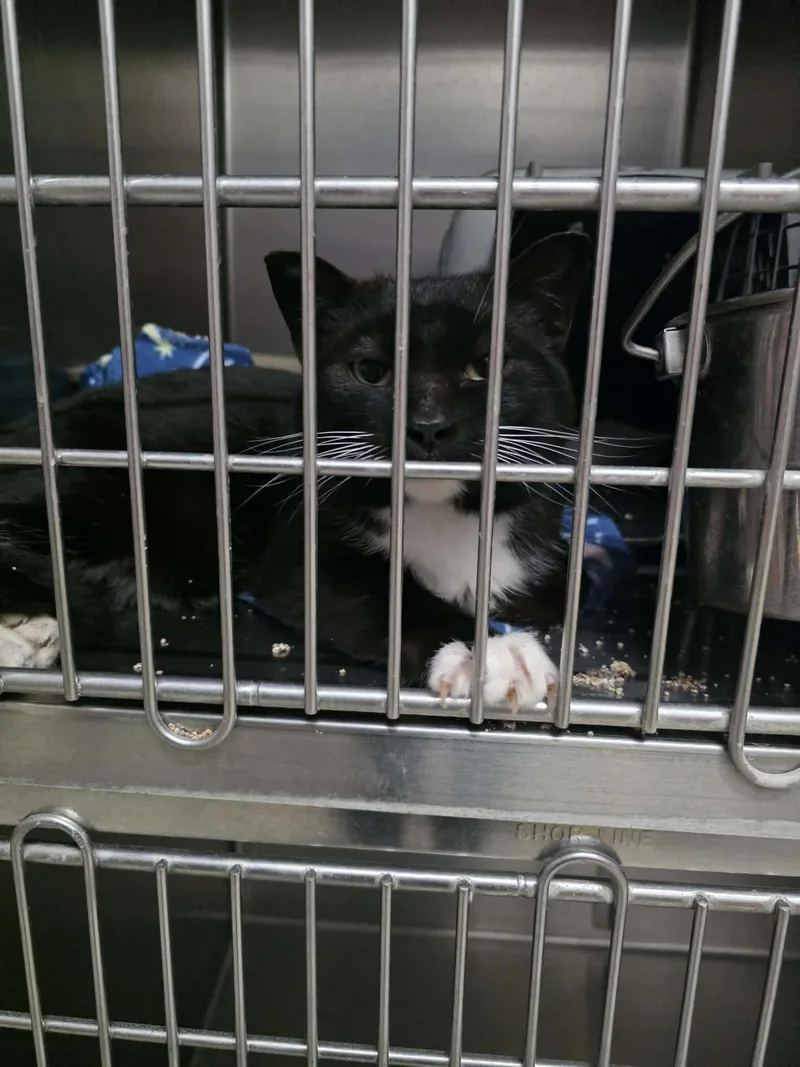 Mark Aka Mr. Marks thumbnail 2