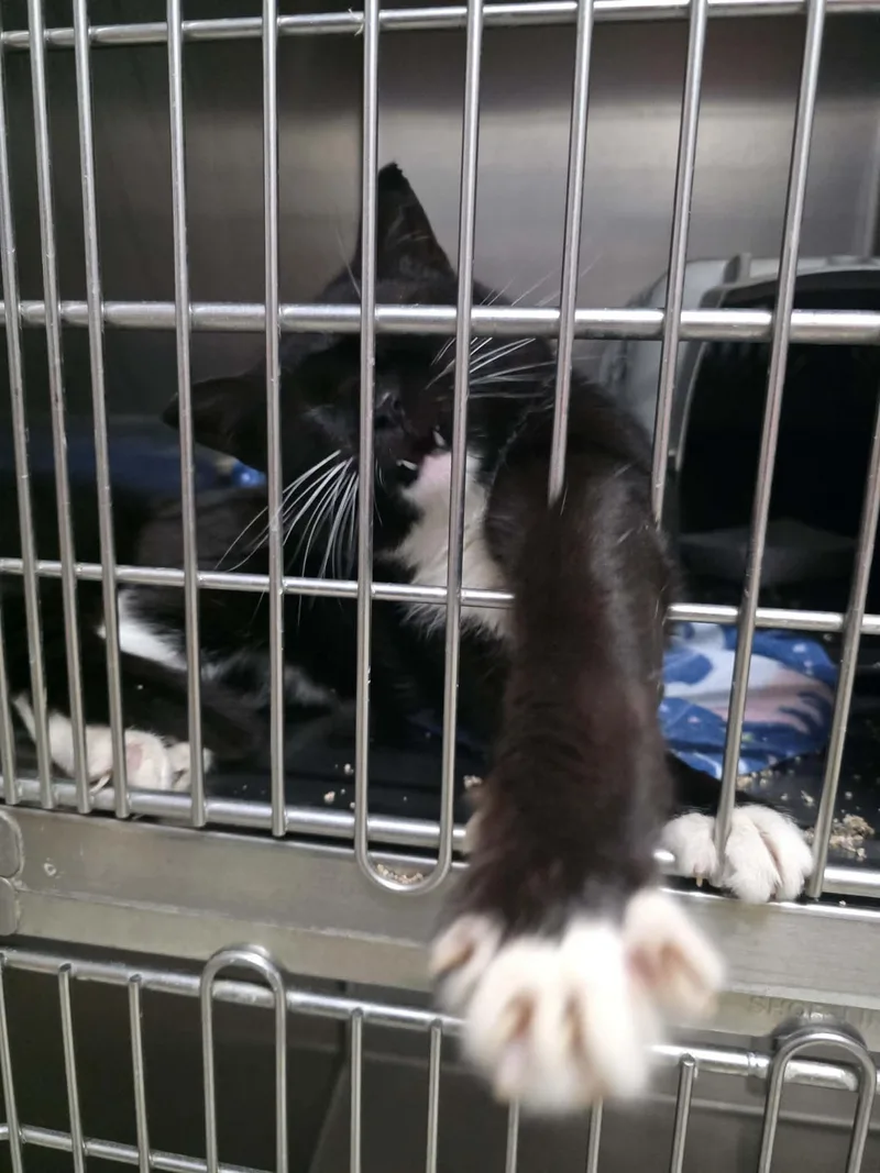 Mark Aka Mr. Marks thumbnail 3