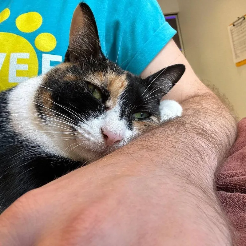 Margo thumbnail 2