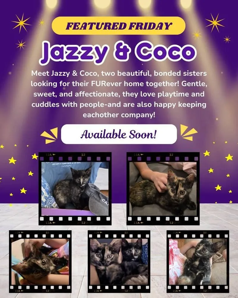 Coco thumbnail 4