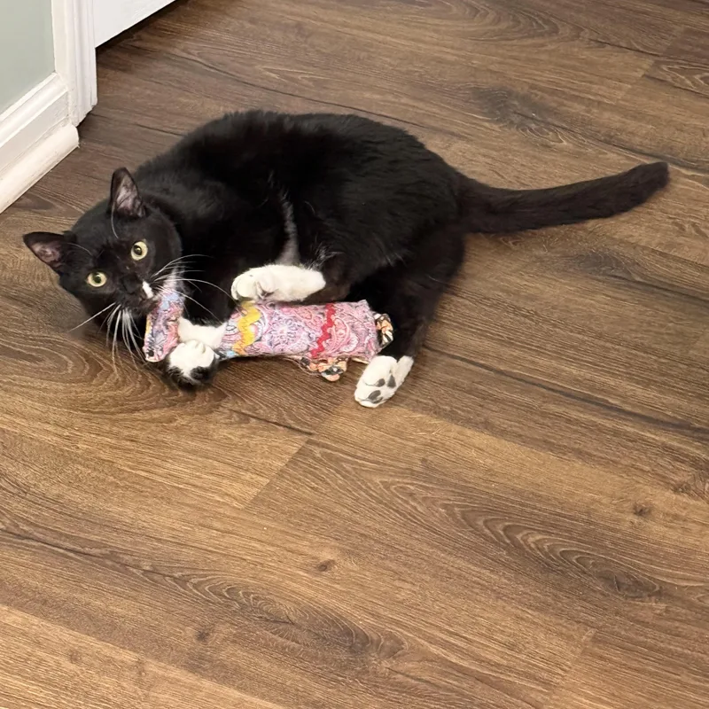 Poison Ivy thumbnail 4