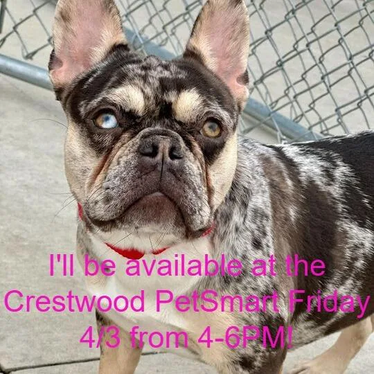 Road Runner thumbnail 2