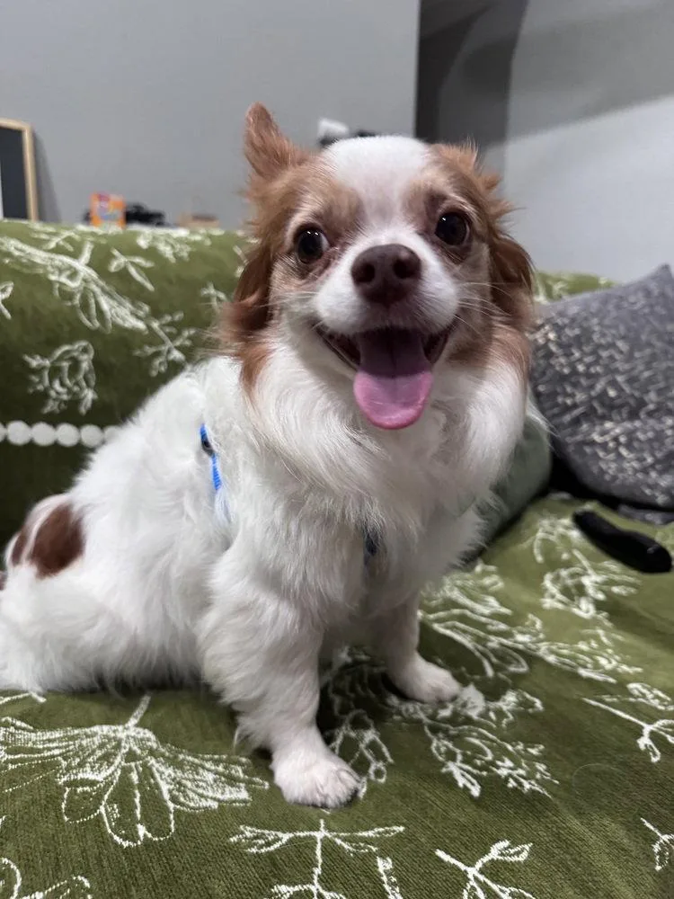 Sammie thumbnail 3