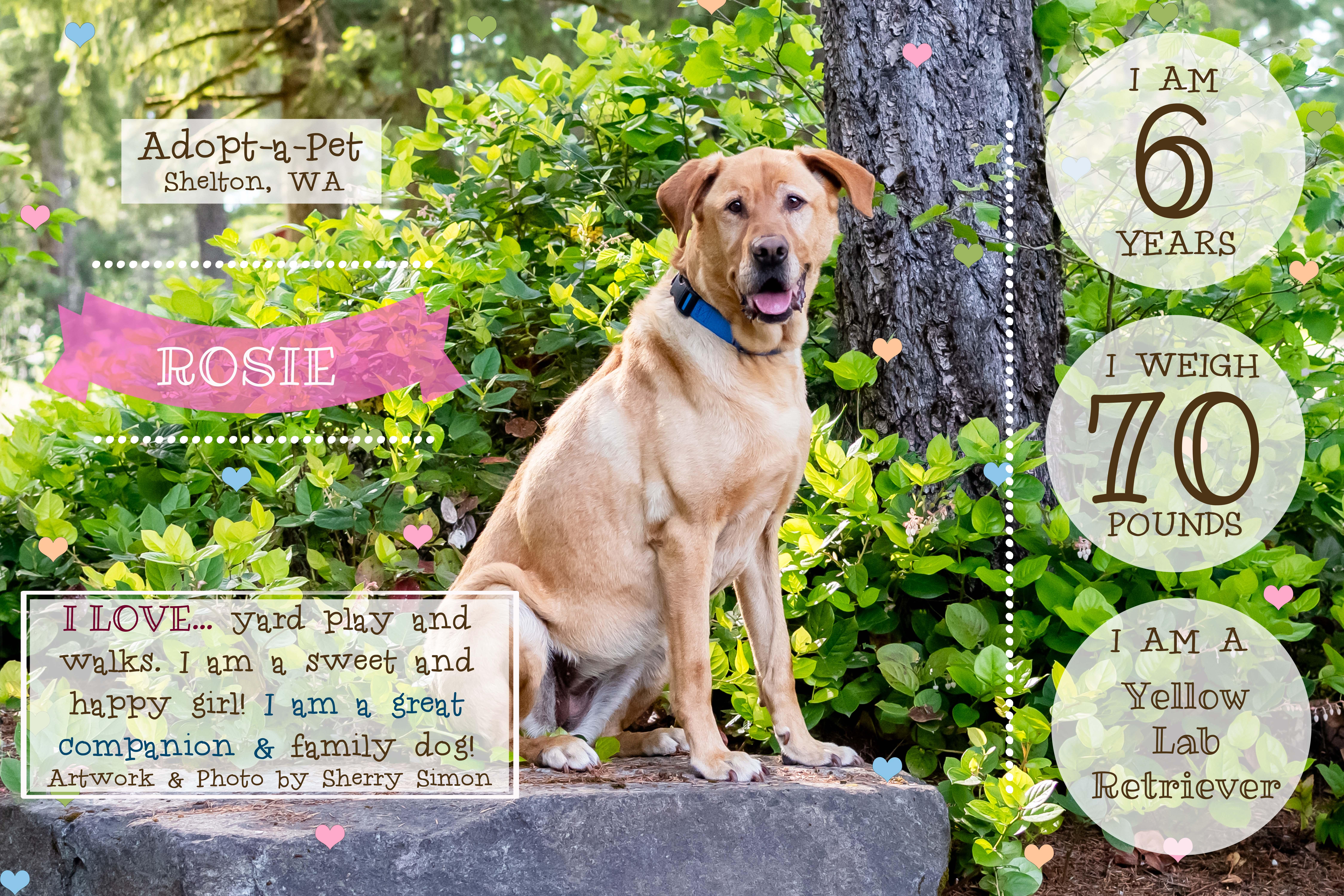 Rosie thumbnail 6