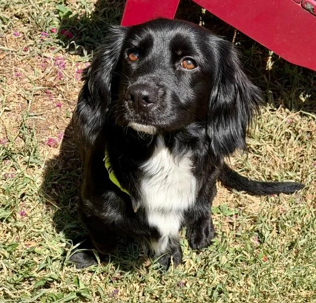 Frankie Jane