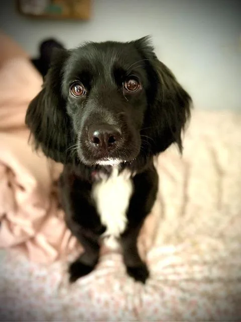 Frankie Jane thumbnail 4