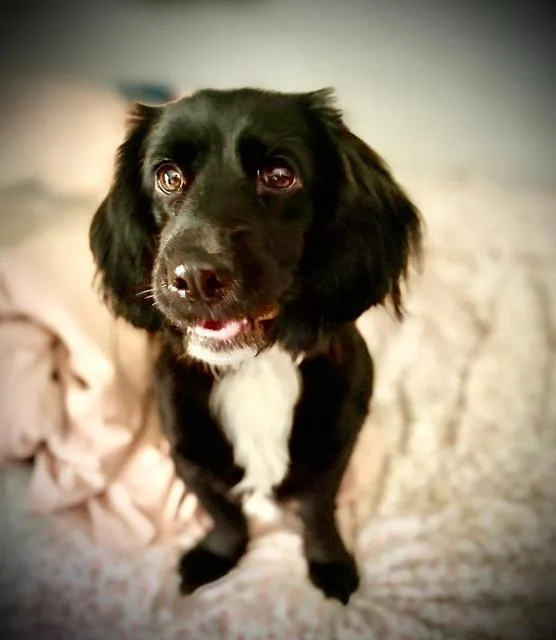 Frankie Jane thumbnail 6