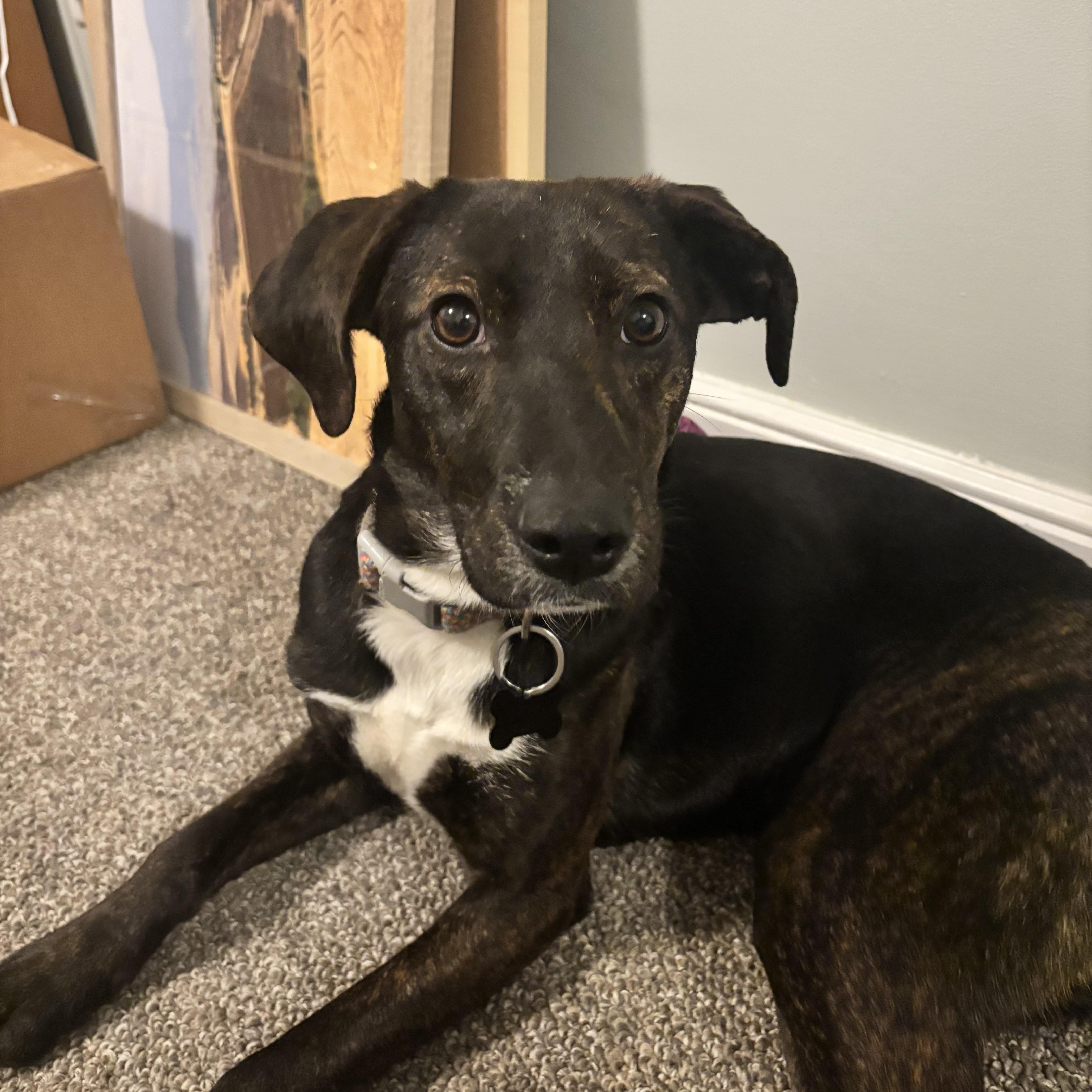 Sea Salt thumbnail 5