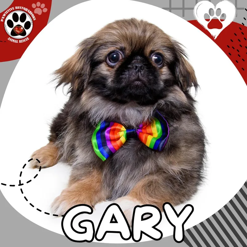 Gary thumbnail 4