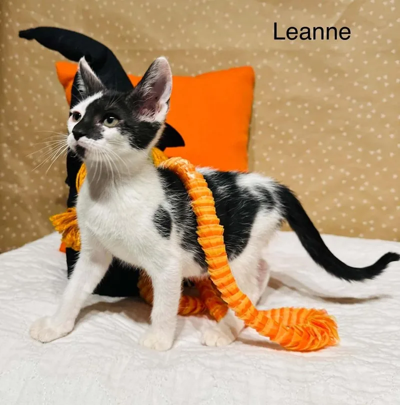 Leanne thumbnail 3