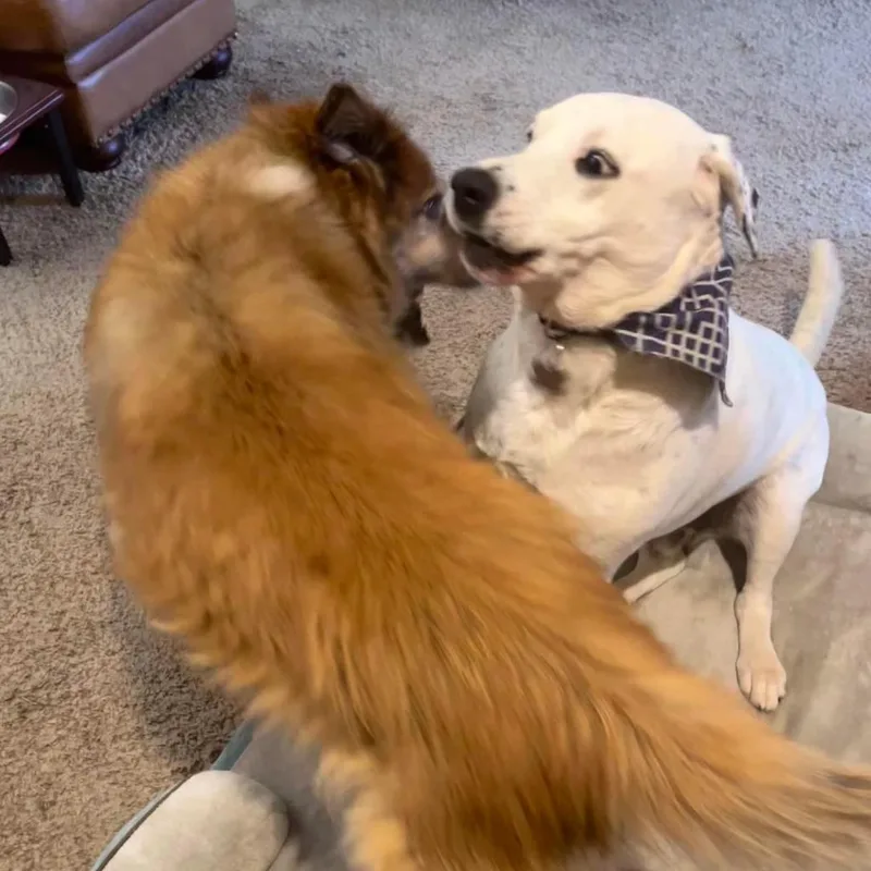 Coco Mann thumbnail 2