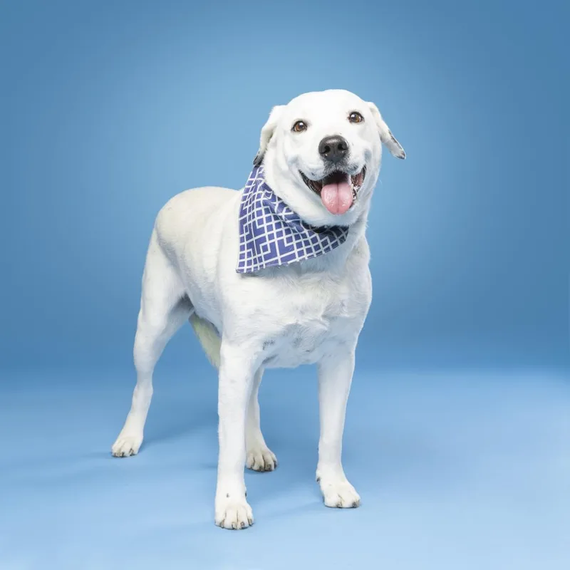 Coco Mann thumbnail 3