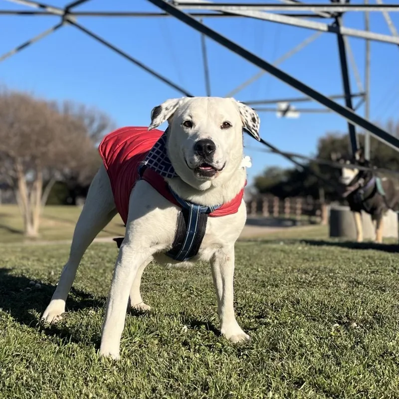 Coco Mann thumbnail 4