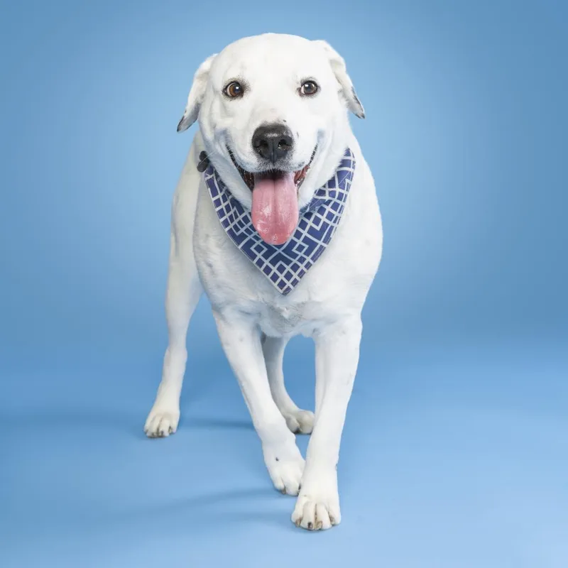 Coco Mann thumbnail 5