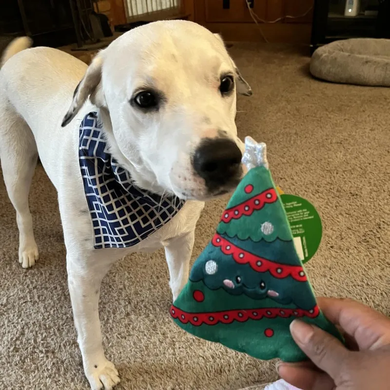 Coco Mann thumbnail 6