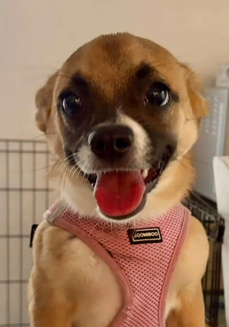 Mimi thumbnail 5