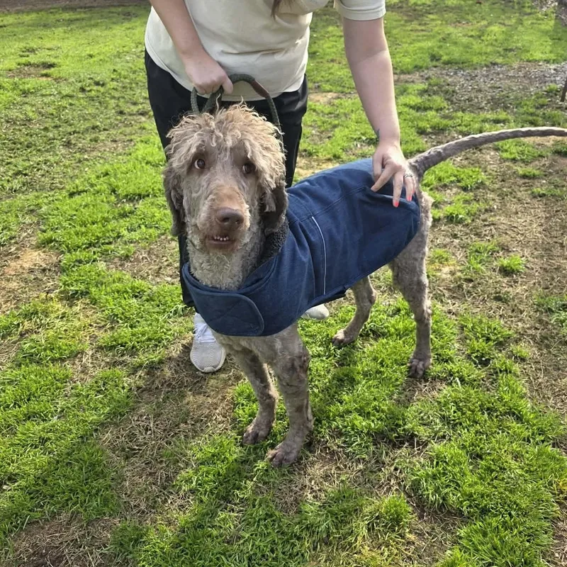 Mark Ballas thumbnail 2