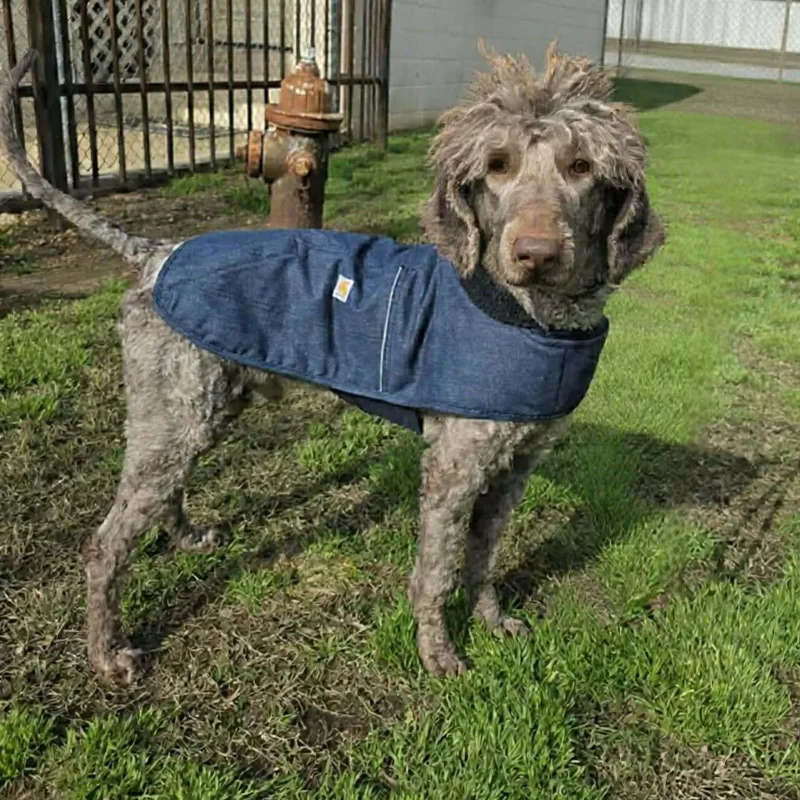 Mark Ballas thumbnail 5