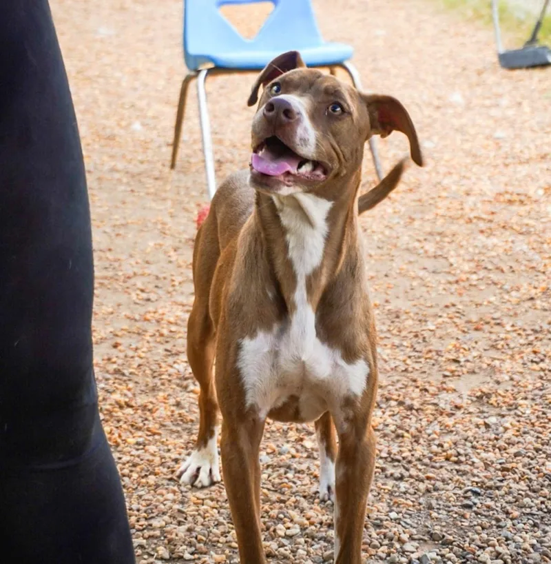 Brooklyn thumbnail 2