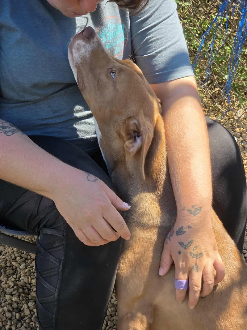 Brooklyn thumbnail 4