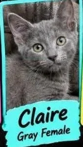 Claire thumbnail 3