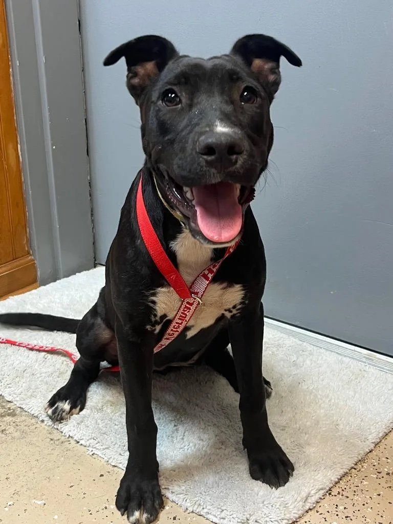 Precious thumbnail 2