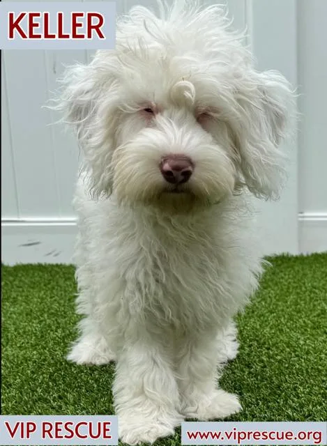 Keller  Redington Beach thumbnail 2