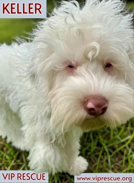 Keller  Redington Beach thumbnail 4