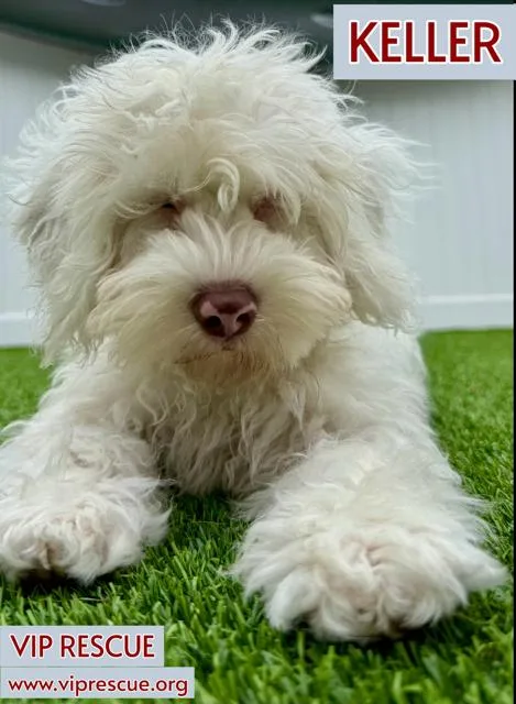 Keller  Redington Beach thumbnail 5