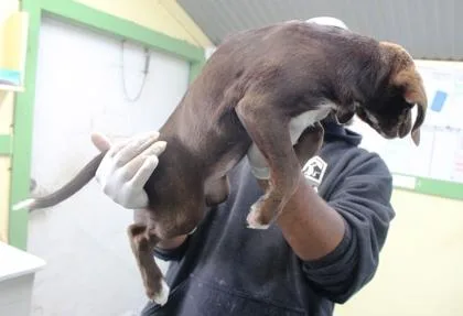 Fairchild thumbnail 2