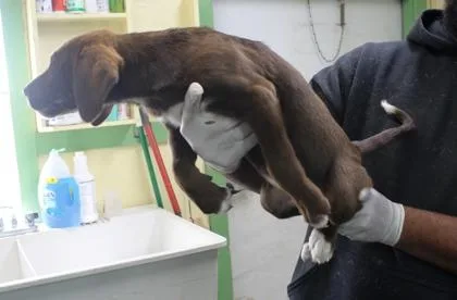 Fairchild thumbnail 3