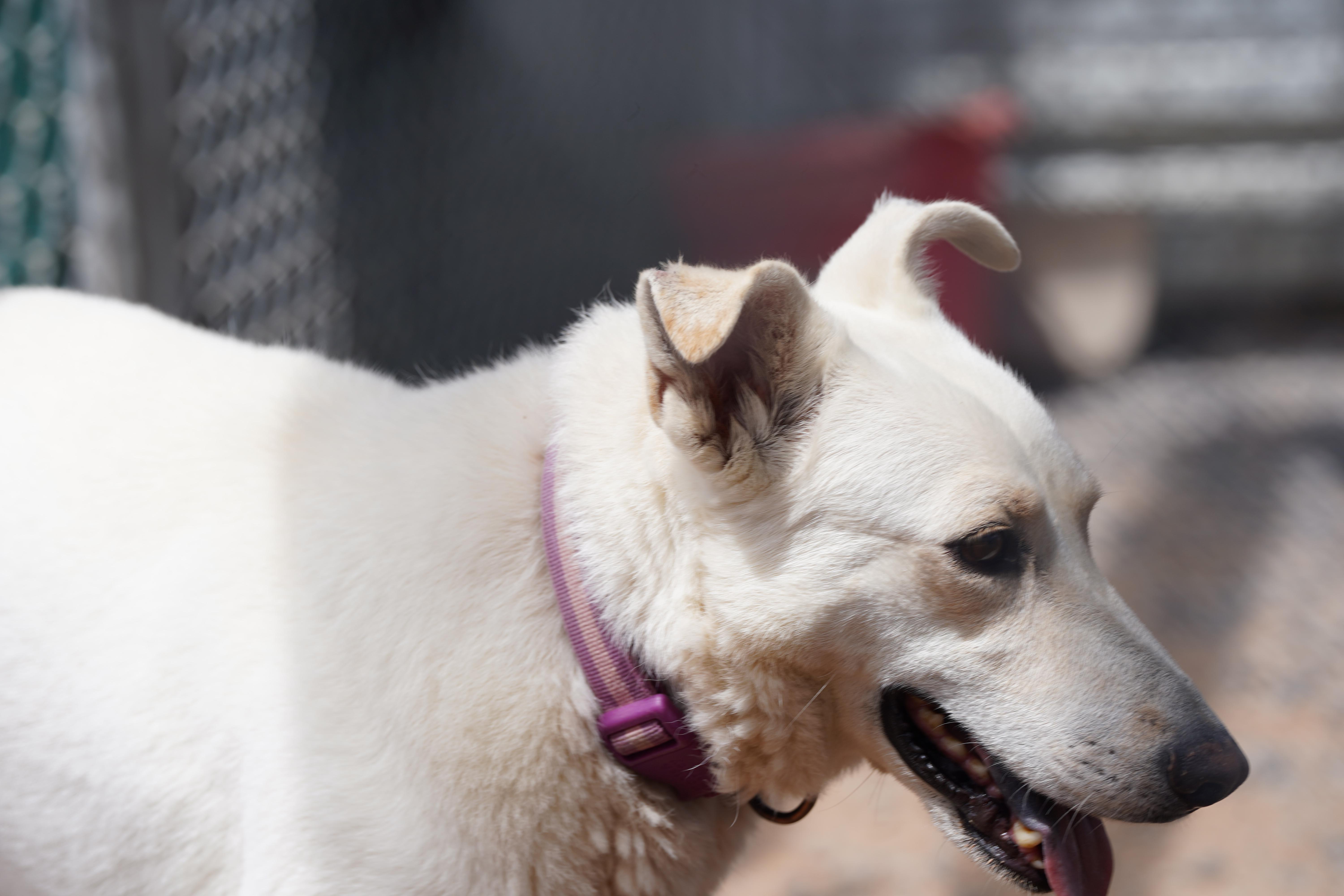 Kiena thumbnail 4