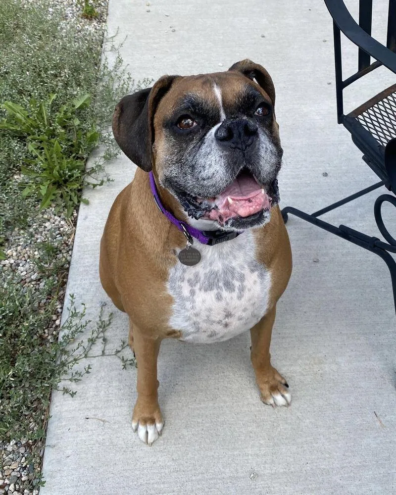 Ellie
