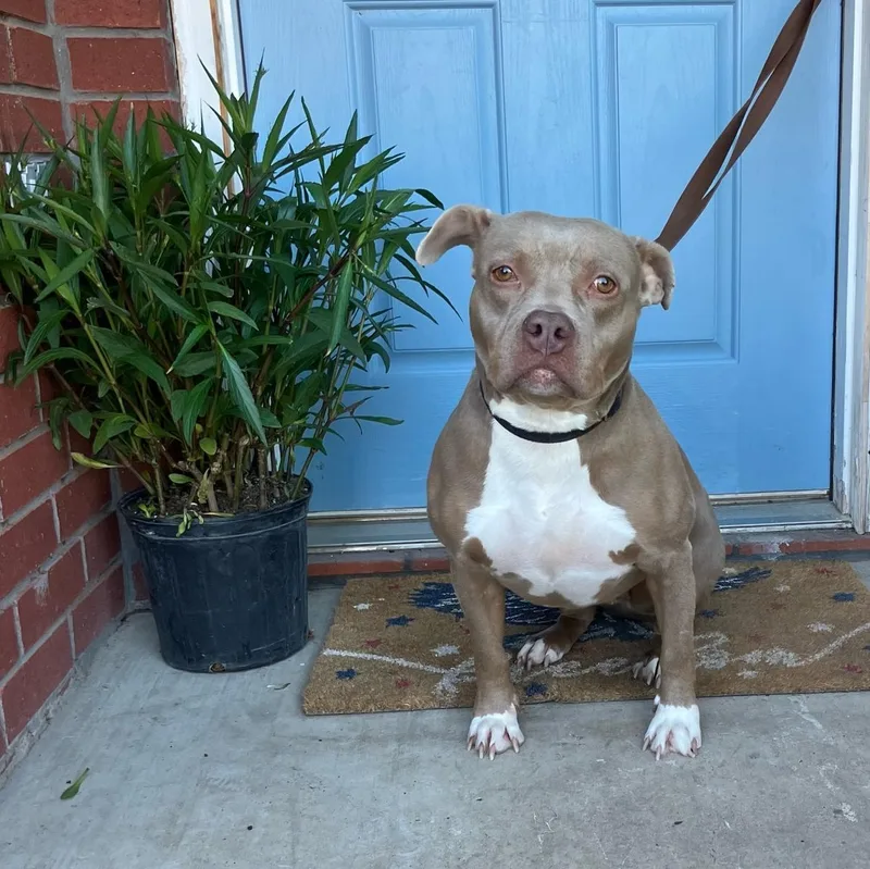 Baileysue thumbnail 2