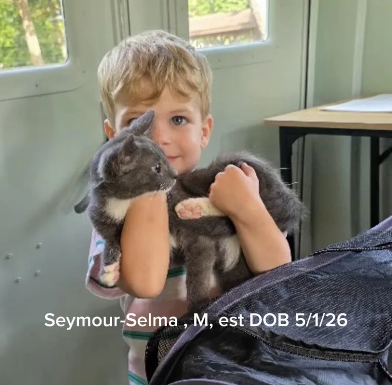 Seymour thumbnail 3