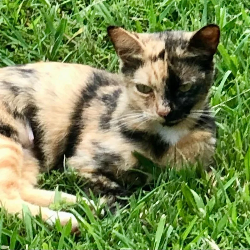 Sabrina