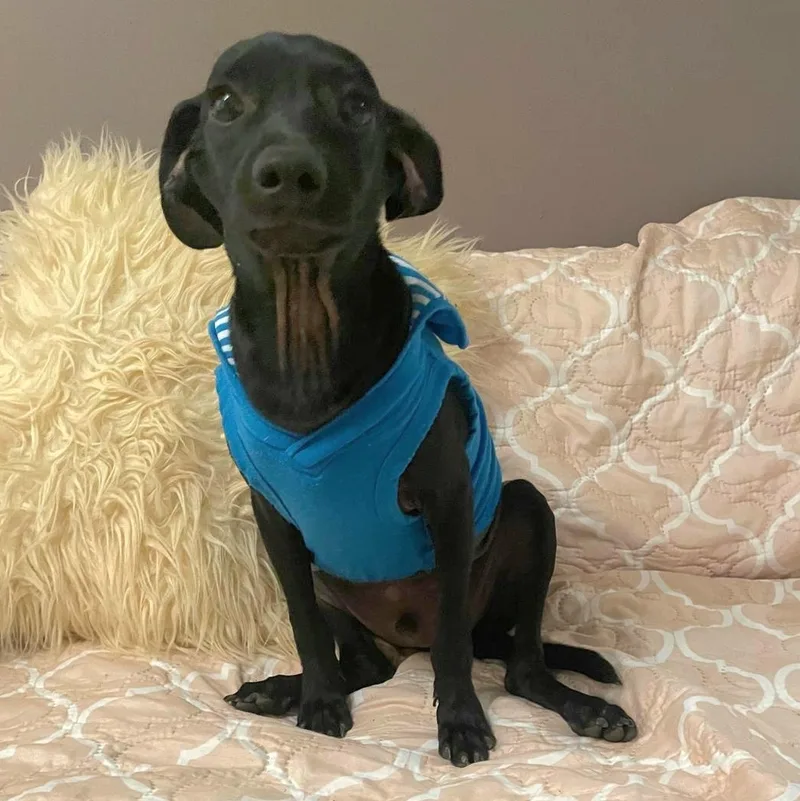 Robby Julian "are You thumbnail 2