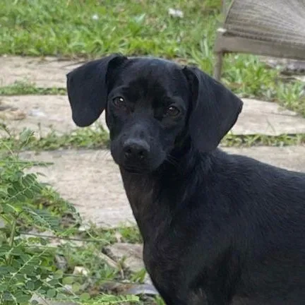 Robby Julian "are You thumbnail 4