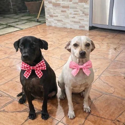 Robby Julian "are You thumbnail 5