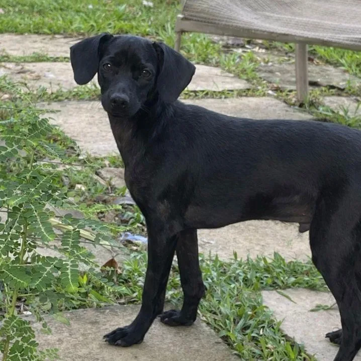 Robby Julian "are You