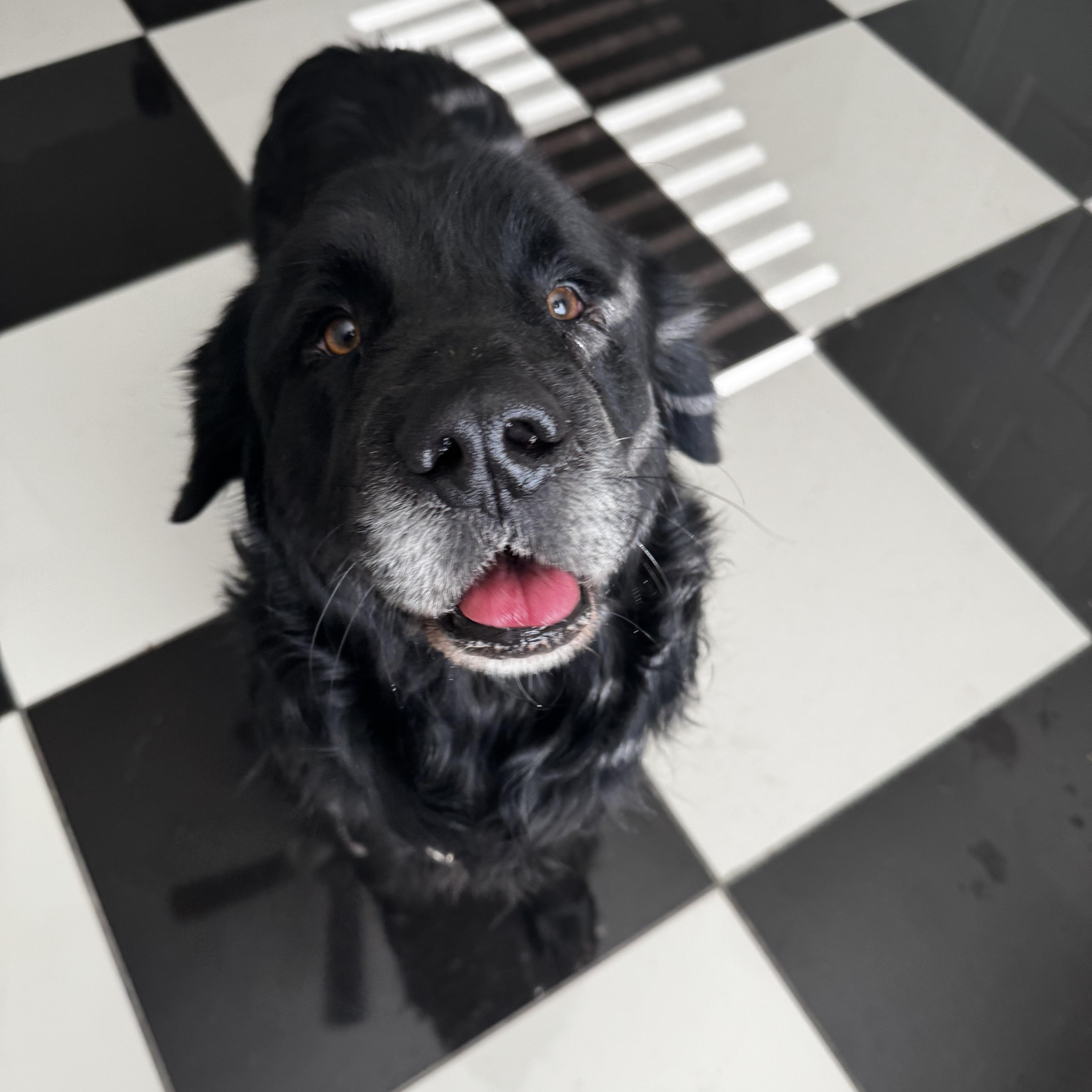 El Bandido thumbnail 2