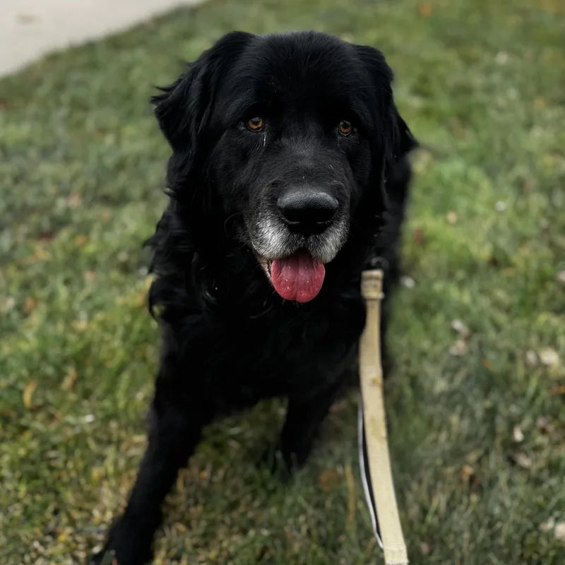 El Bandido thumbnail 3