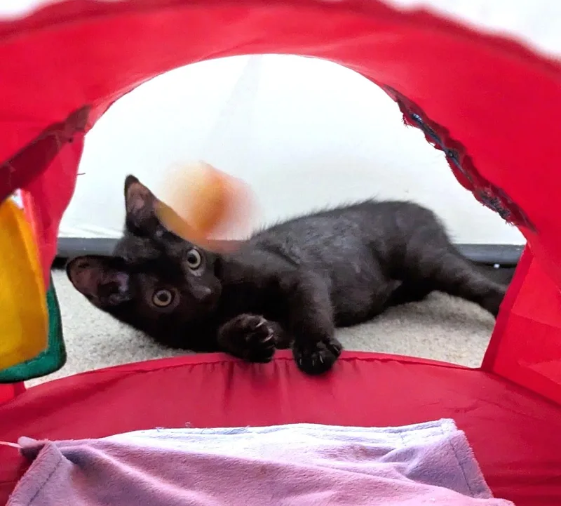 Billy thumbnail 2