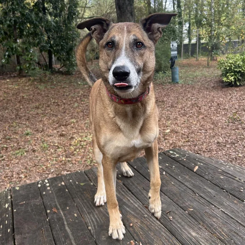 Hot Chocolate thumbnail 2