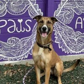 Hot Chocolate thumbnail 3