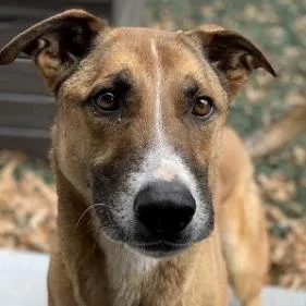 Hot Chocolate thumbnail 4